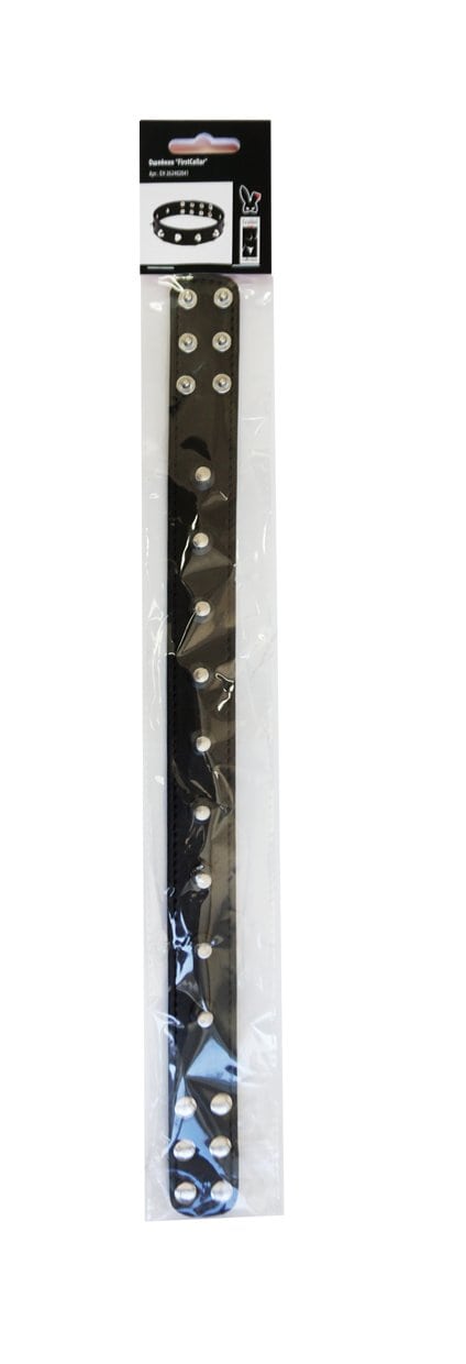 Ошейник "FirstCollar"