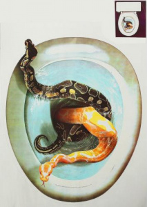 Наклейка на крышку унитаза "Змеи"