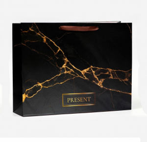 Пакет подарочный "Present". 31*40 см