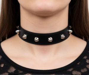 Ошейник "FirstCollar"