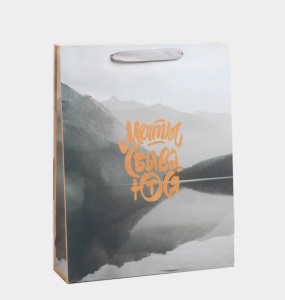 Пакет подарочный "Мечты сбываются". 31*40 см