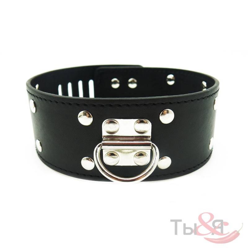 Ошейник с клепками черный с поводком-цепочкой Collar