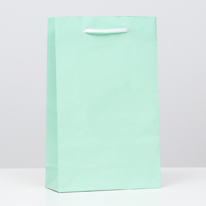 Пакет подарочный, зеленый, 16*26 см
