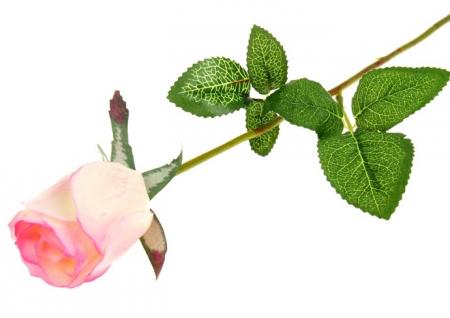 Мыльные лепестки "Роза", бело-розовый