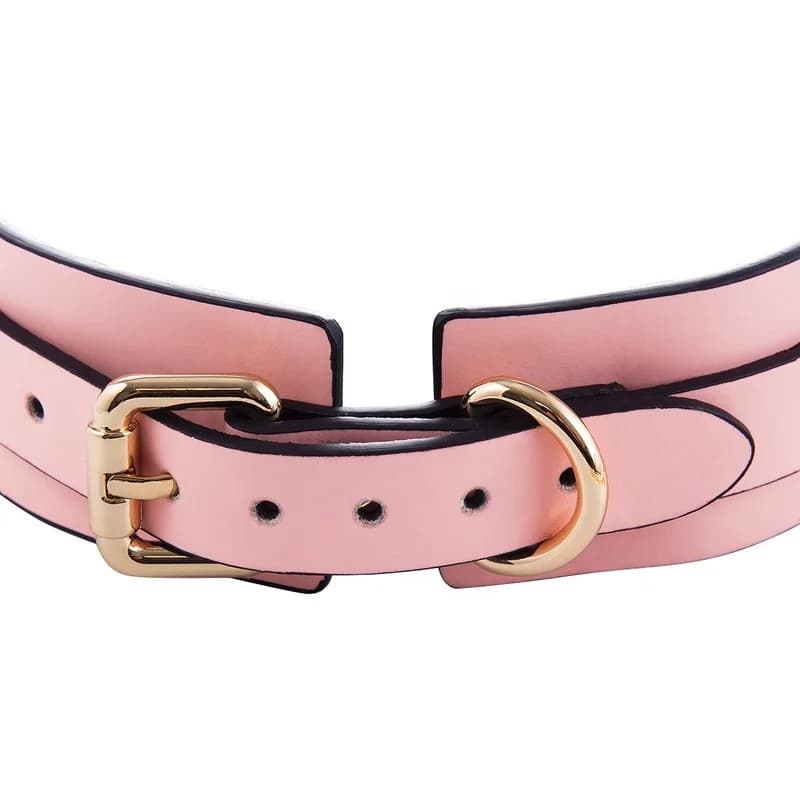 EroHot Glow Ошейник светящийся в темноте, с поводком розовый