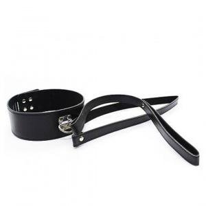 Ошейник с поводком "Briz"