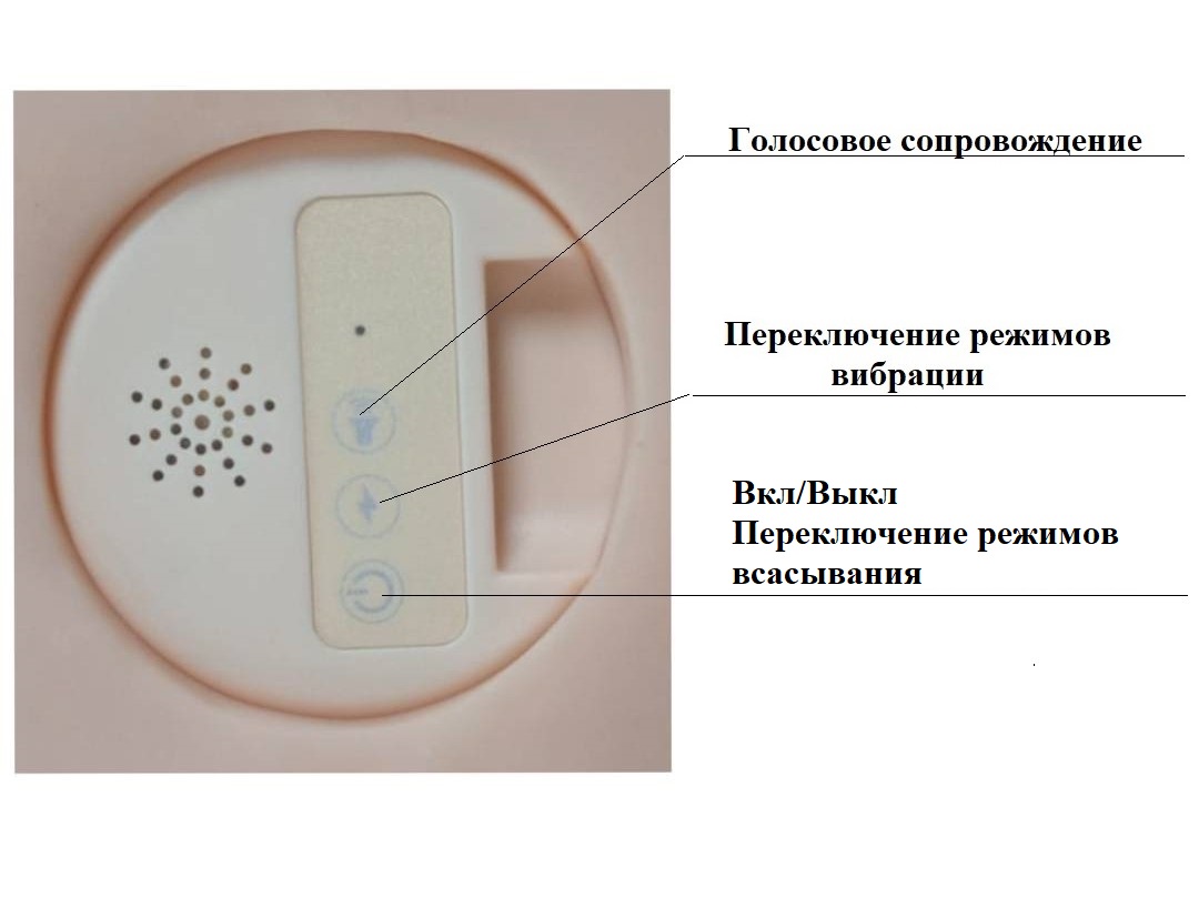 Мастурбатор полуторс Джульетта с вибрацией, функцией всасывания и звуком