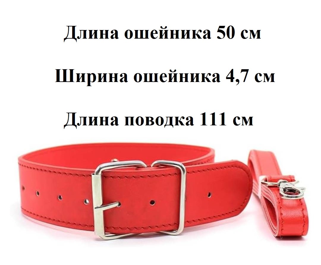 Набор BDSM "Красный эксперимент" ("Red Experiment") 