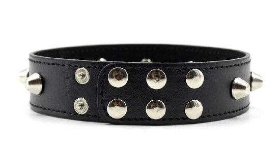 Ошейник "FirstCollar"